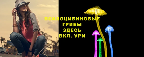 шишки Алзамай