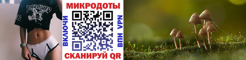 Галлюциногенные грибы ЛСД Чёрмоз